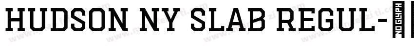 Hudson NY Slab Regul字体转换
